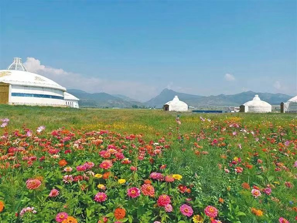 1661998394930379.jpg 629dd814b0475cd3244df88721e8bfd_副本.jpg